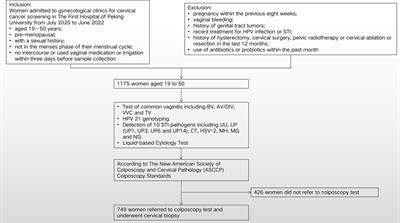 Association between human papillomavirus infection and common sexually transmitted infections, and the clinical significance of different Mycoplasma subtypes